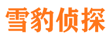 且末市私人侦探